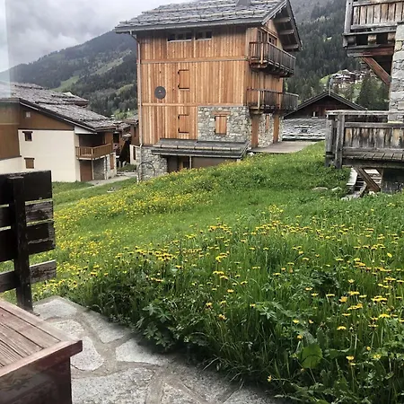 Souche - La Souche 10 - Agreable 2 Pieces, Terrasse Skis Aux Pieds Mae-5114 Appartement *